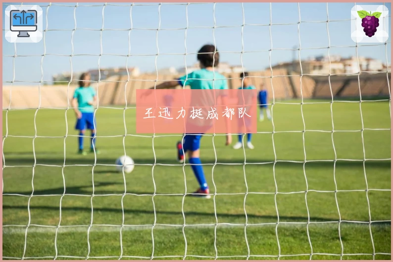 王迅力挺成都队